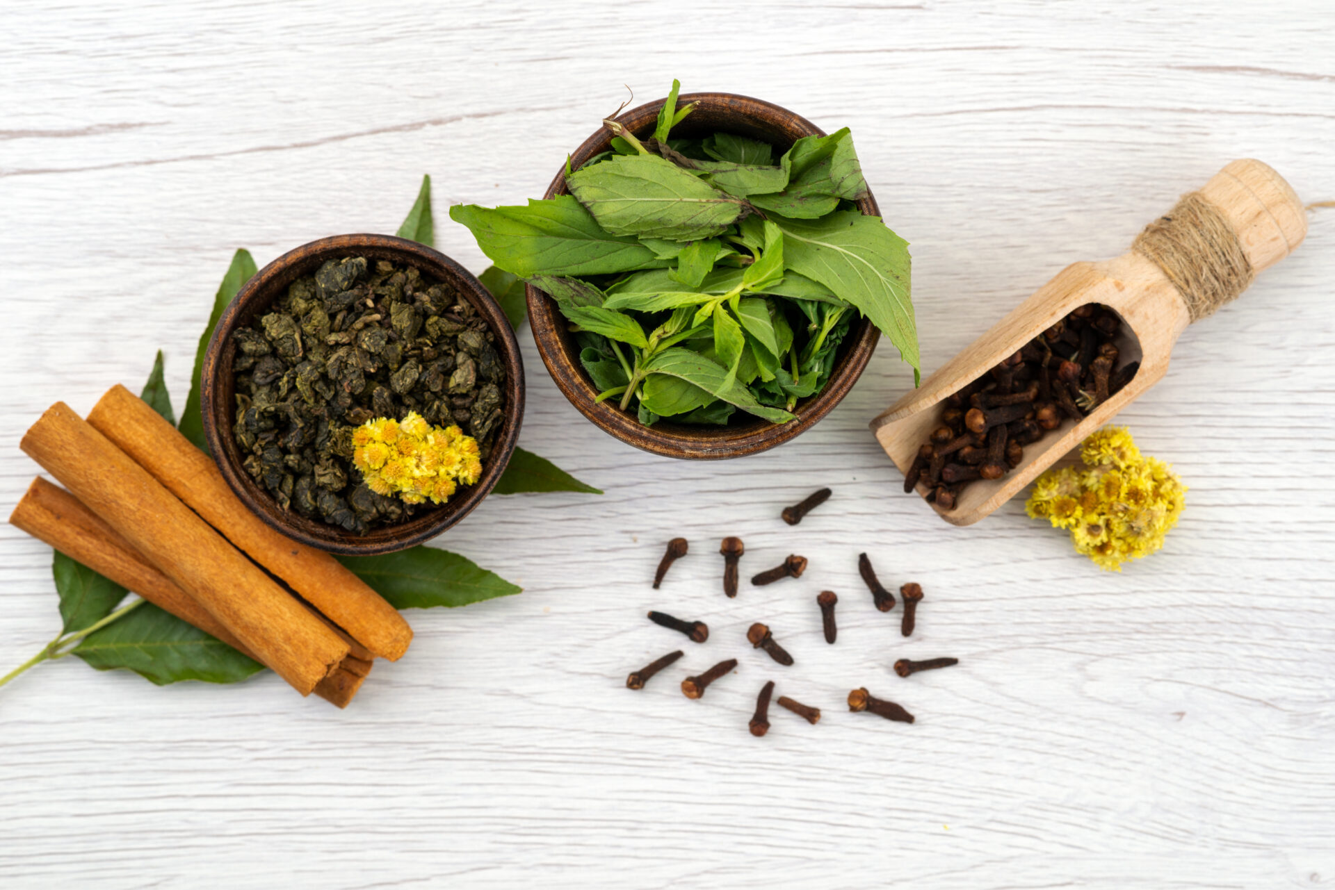 Living In Tune : How Dosha Balance Creates Life Balances